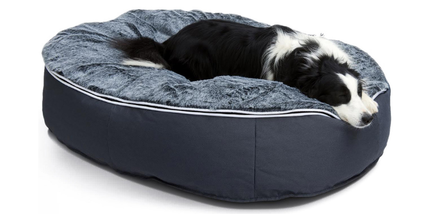 Border Collie Lounging on a Large Luxury Dog Bed from Ambient Lounge in New Zealand