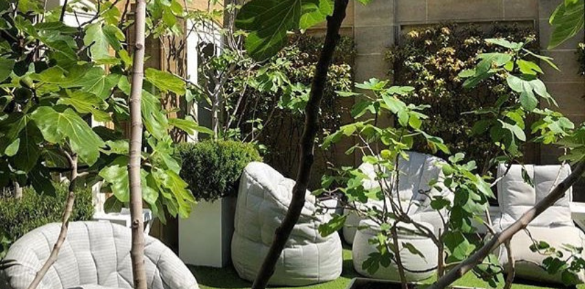 outdoor garden with ambient lounge designer sofa sets