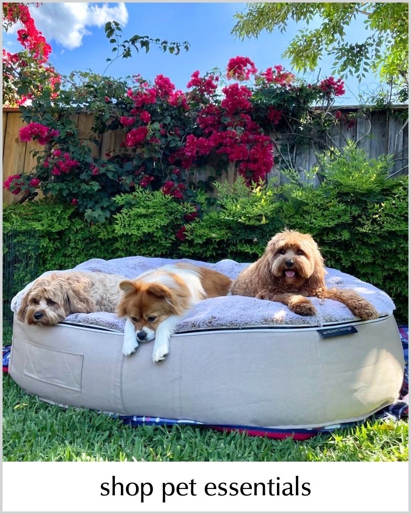 shop pet essentials