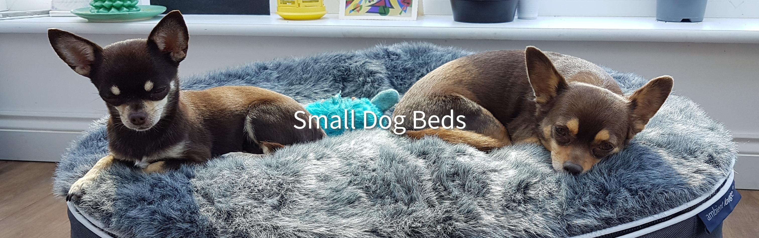 Small Dog Bed