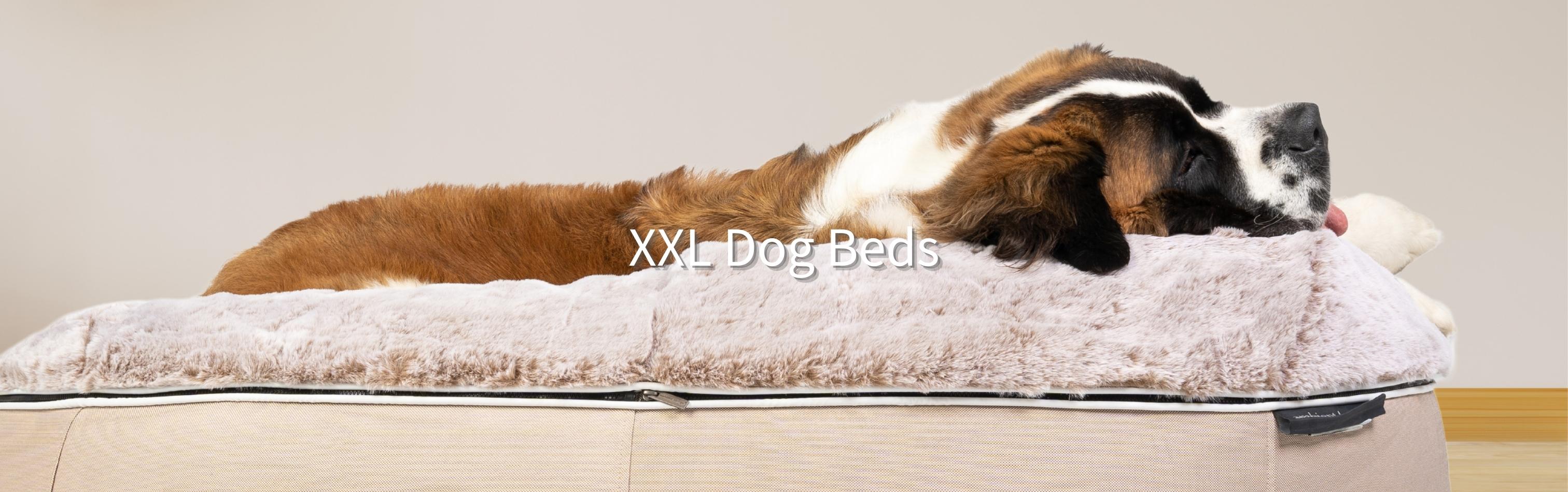 XXL Dog Beds