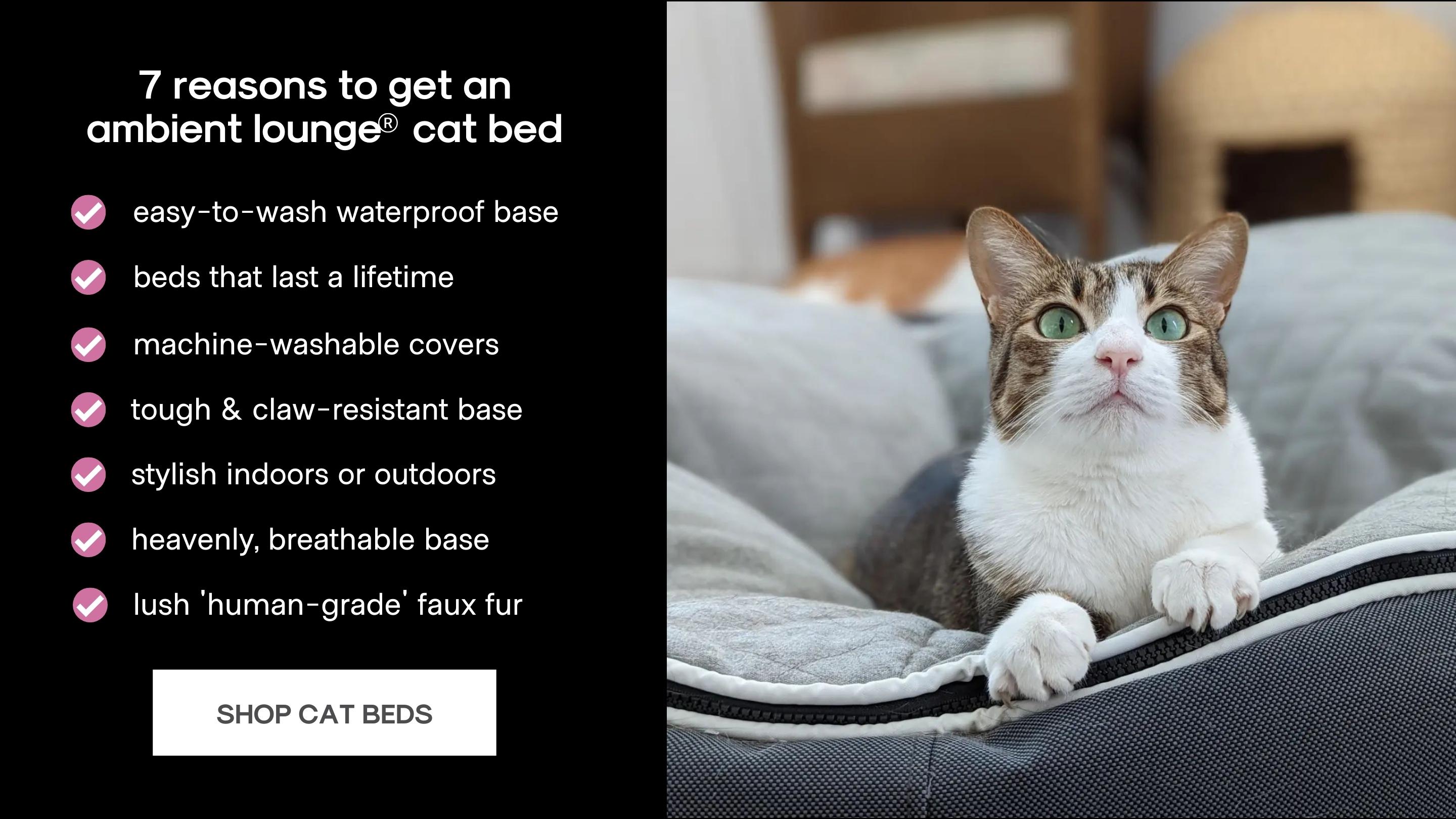 Cat beds by ambient lounge