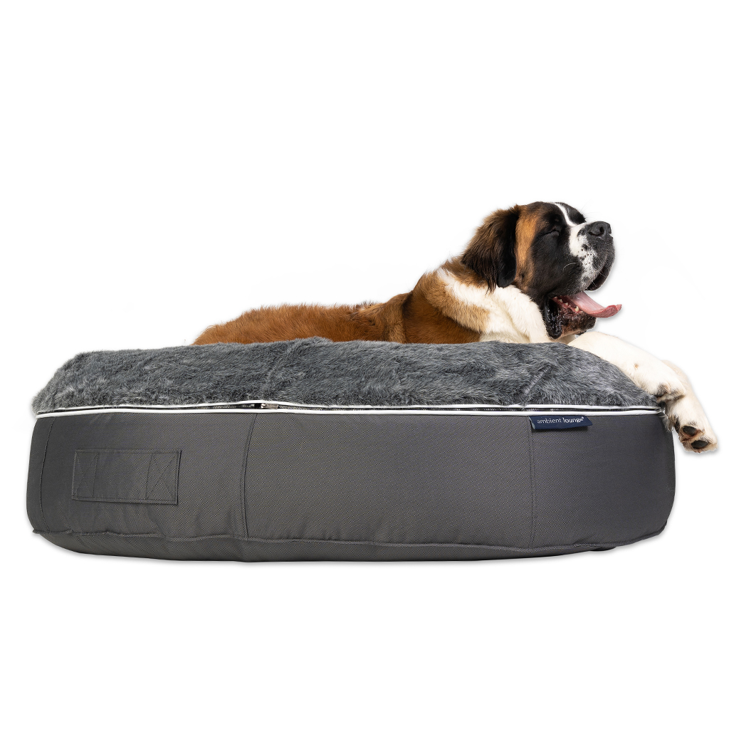 Hot dog dog bed large online