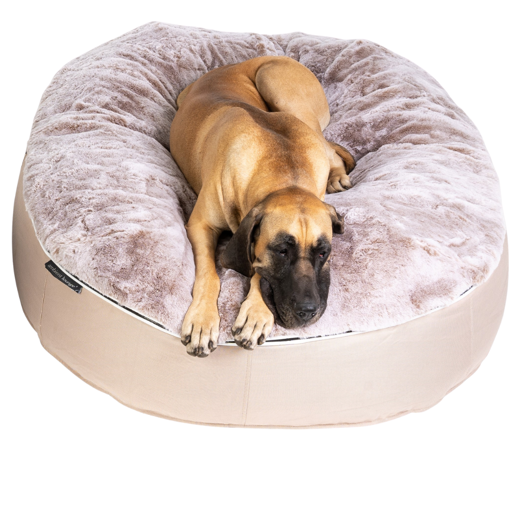 Unique dog beds sale for large dogs