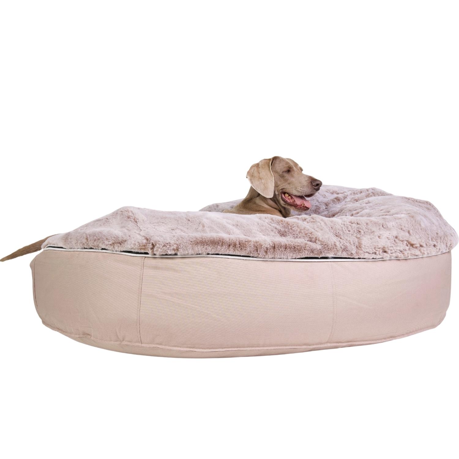 Pet Beds Dog Beds Designer Dog Bean Bags Cappuccino Large size