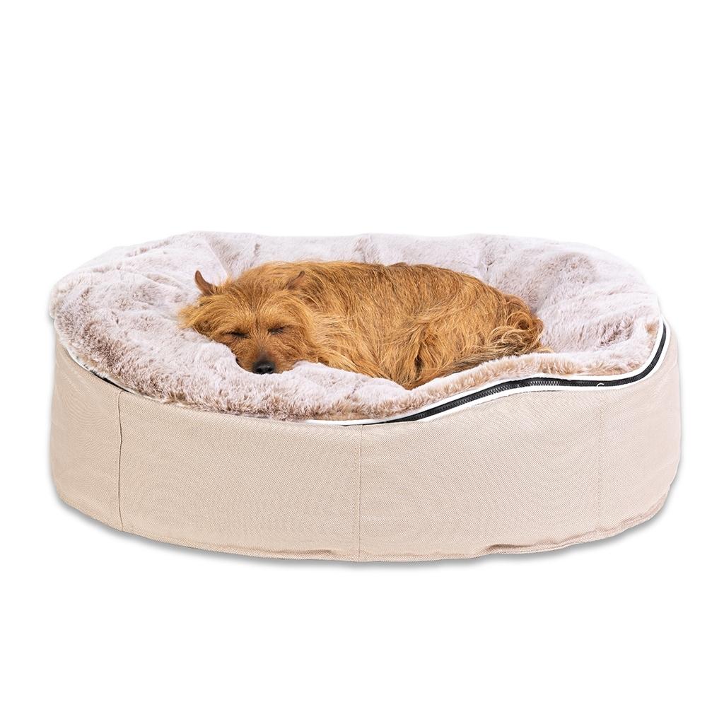 Fashionable dog beds clearance