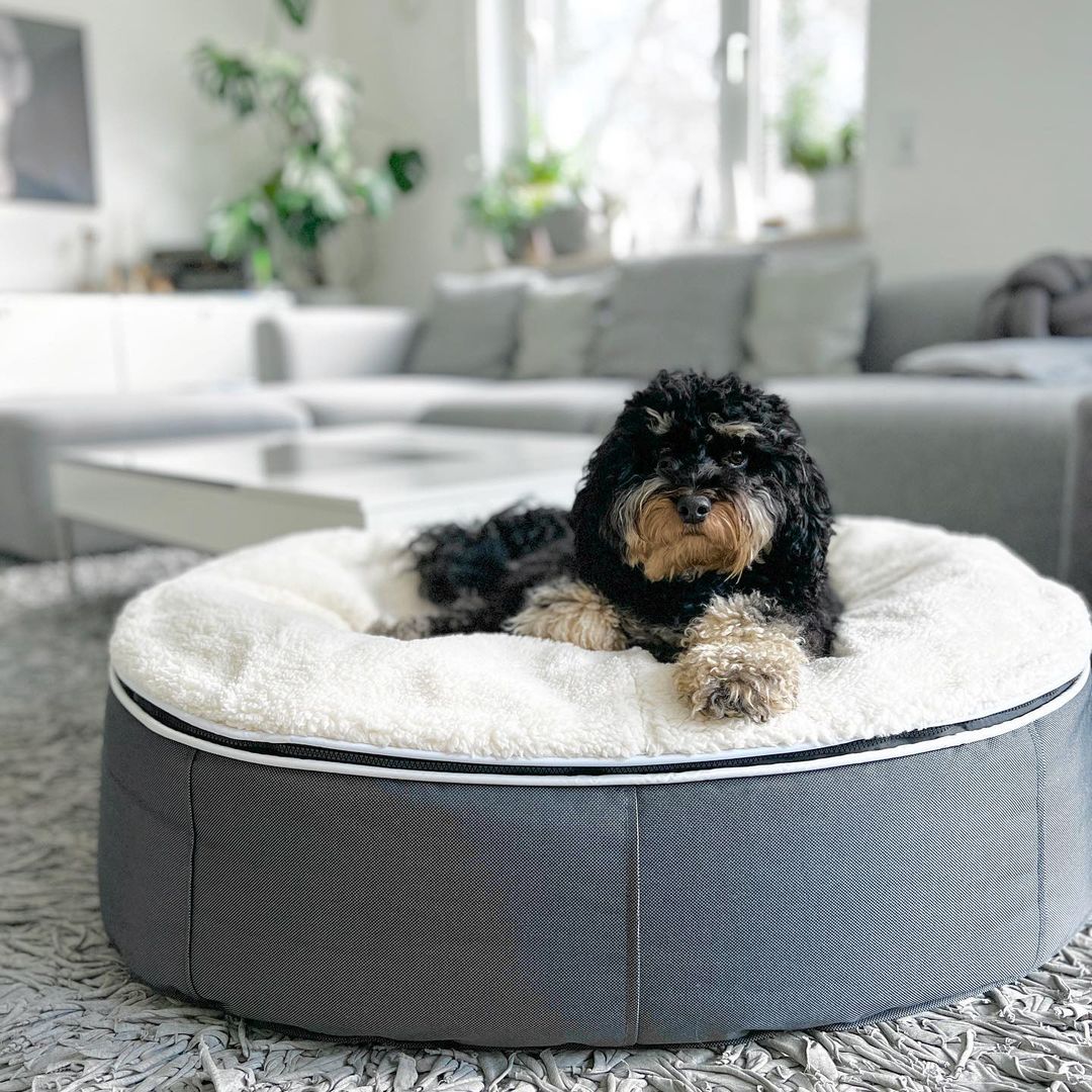 Organic cotton dog bed sale