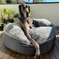 black cushion dog beds made of bean bags by Ambient Lounge