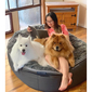 XXL Luxury Indoor/Outdoor Dog Bed (Original)