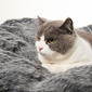 small dark grey cat bed with faux fur cover bead bags for cats by Ambient Lounge New Zealand