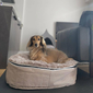 Medium Luxury Indoor/Outdoor Dog Bed (Cappuccino)