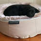 black cushion dog beds made of bean bags by Ambient Lounge