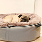 black cushion dog beds made of bean bags by Ambient Lounge