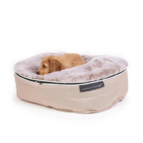 cappuccino small dog bed filled with bean bags in new zealand