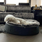 Medium Luxury Indoor/Outdoor Dog Bed (Wild Animal)