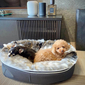 Medium Luxury Indoor/Outdoor Dog Bed (Wild Animal)