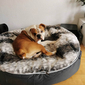 Large Luxury Indoor/Outdoor Dog Bed (Wild Animal)