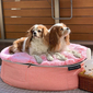 Medium Luxury Indoor/Outdoor Dog Bed (Ballerina Pink)