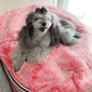 Medium Luxury Indoor/Outdoor Dog Bed (Ballerina Pink)