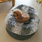 Small Luxury Indoor/Outdoor Dog Bed (Wild Animal)