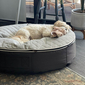 Medium Premium Cooling ThermoQuilt Dog Bed (Silver)