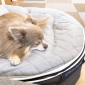 Small Premium Cooling ThermoQuilt Dog Bed (Silver)