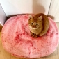 pink ballerina limited edition cushion dog beds made of bean bags by Ambient Lounge
