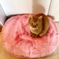 pink ballerina limited edition cushion dog beds made of bean bags by Ambient Lounge