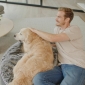 Medium Rebound Foam Mattress Dog Bed (Original)