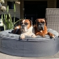 Medium Rebound Foam Mattress Dog Bed (Original)