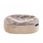 Medium Rebound Foam Mattress Dog Bed (Cappuccino)