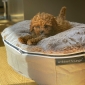 Small Rebound Foam Mattress Dog Bed (Cappuccino)