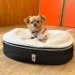 Small Rebound Foam Mattress Dog Bed (Original + Organic Cotton)