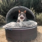 Small Rebound Foam Hooded Cat Bed (Grey)