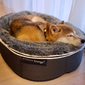 black cushion dog beds made of bean bags by Ambient Lounge