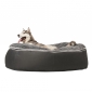 black cushion dog beds made of bean bags by Ambient Lounge