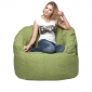 green butterfly bean bag