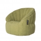 green butterfly bean bag