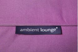 purple evolution bean bag