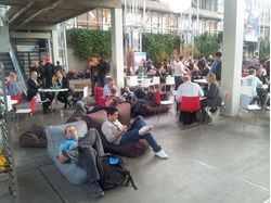 brown evolution bean bag