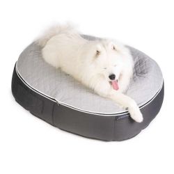 large thermoquilt cooling dog bed filled with beans by Ambient Lounge New Zealand