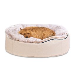 medium cappuccino dog bean bag beds by Ambient Lounge New Zealand